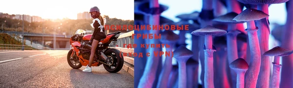 трава Богданович