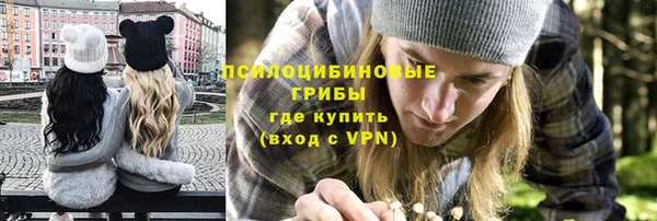 тгк Богородицк